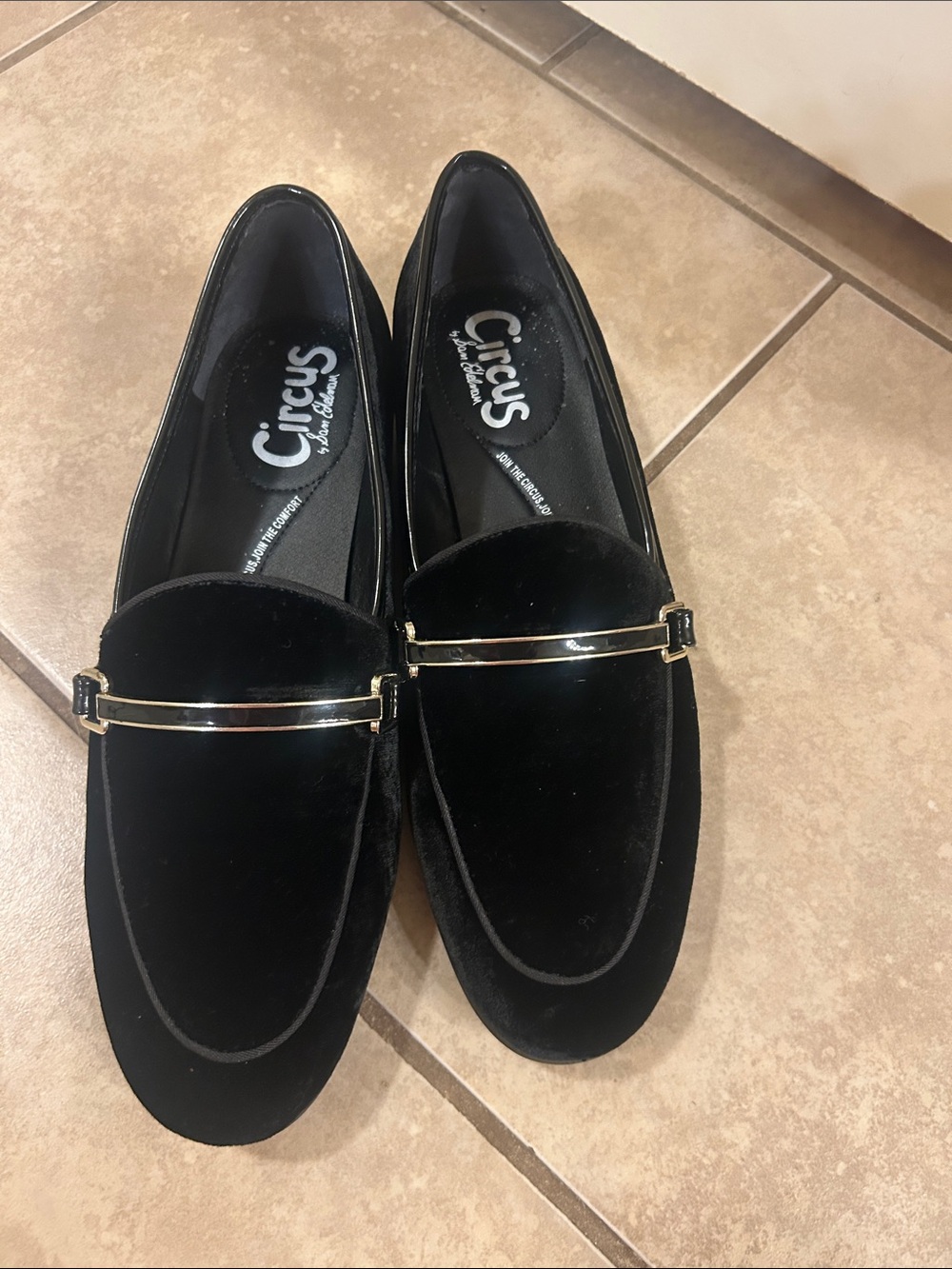 Circus by Sam Edelman Black Velvet Loafers with Gold Bar